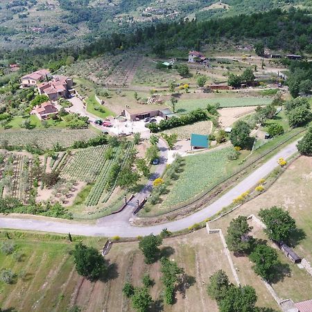 Agriturismo Villa Iris Castelfranco di Sopra Buitenkant foto