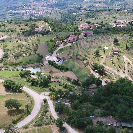 Agriturismo Villa Iris Castelfranco di Sopra Buitenkant foto