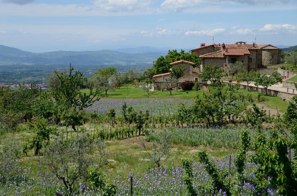 Agriturismo Villa Iris Castelfranco di Sopra Buitenkant foto