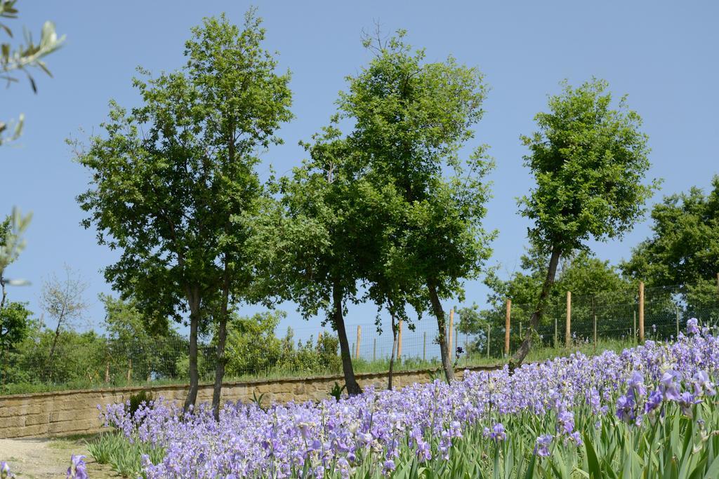 Agriturismo Villa Iris Castelfranco di Sopra Buitenkant foto