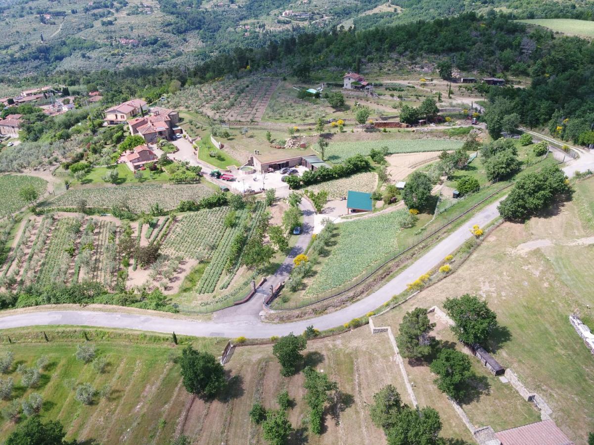 Agriturismo Villa Iris Castelfranco di Sopra Buitenkant foto