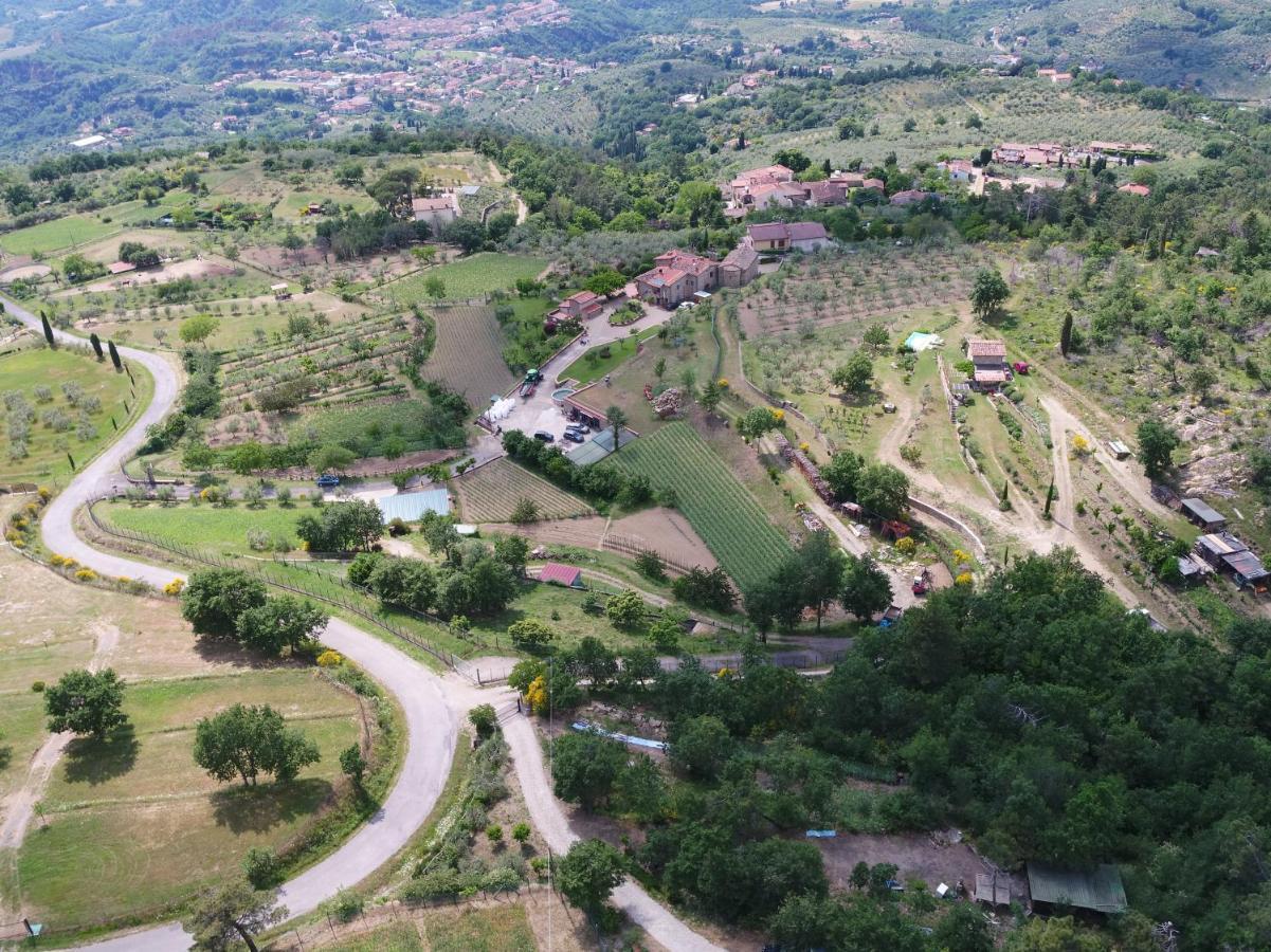 Agriturismo Villa Iris Castelfranco di Sopra Buitenkant foto